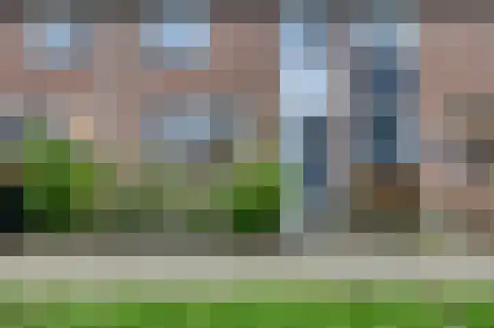 Nachtegaal 55 Hoorn thumbnail 7