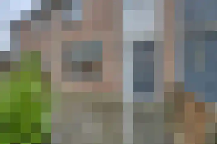 Nachtegaal 55 Hoorn thumbnail 8