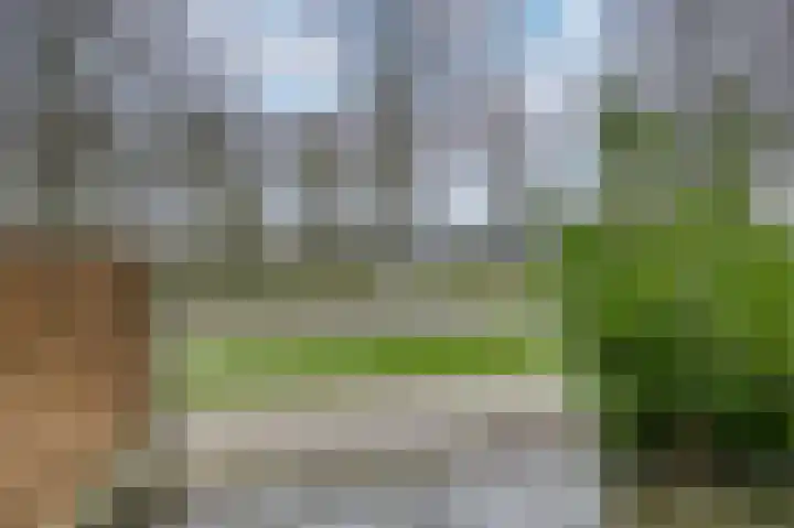 Nachtegaal 55 Hoorn thumbnail 9