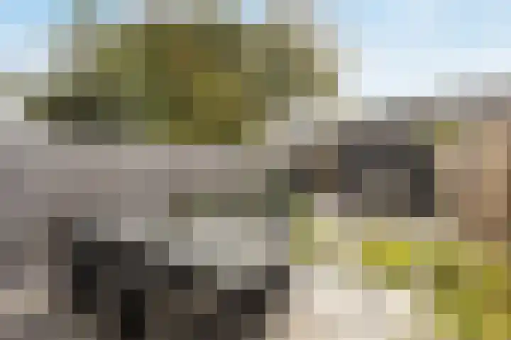 Nachtegaal 56 Etten-Leur thumbnail 35