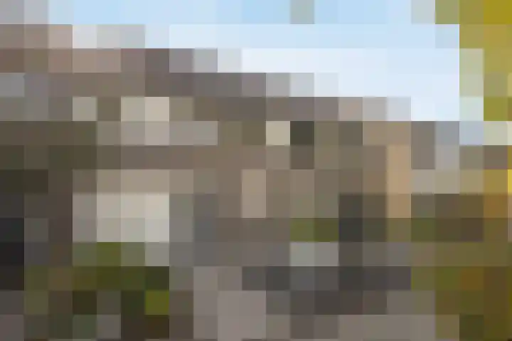Nachtegaal 56 Etten-Leur thumbnail 38