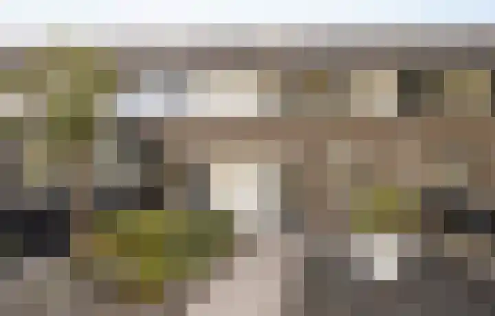 Nachtegaal 56 Etten-Leur thumbnail 5