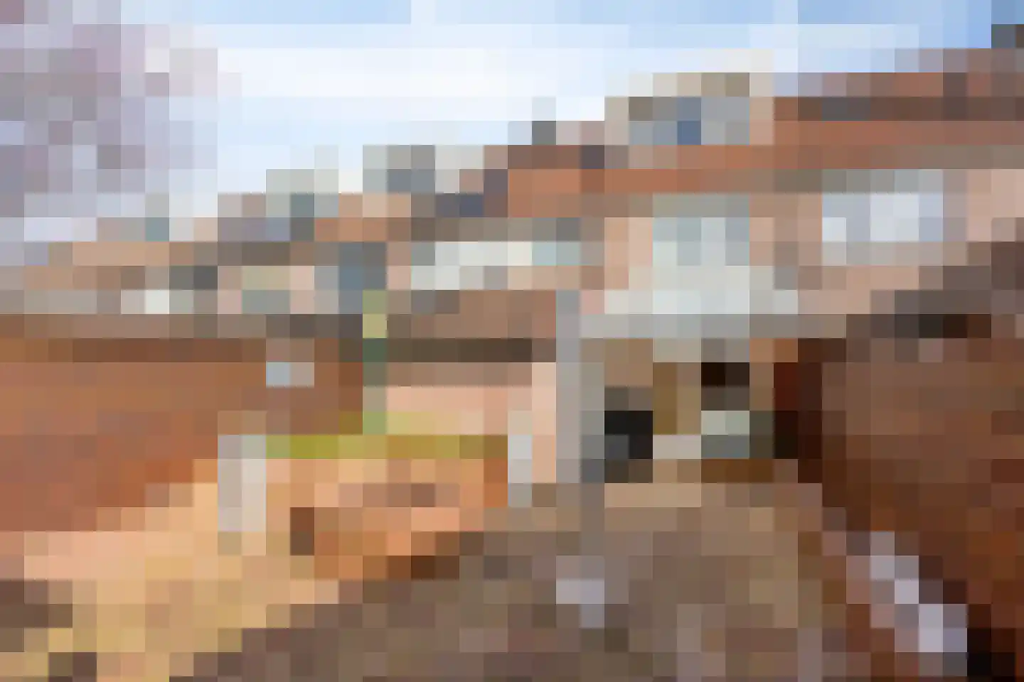 Nachtegaal 56 Hoorn thumbnail 31