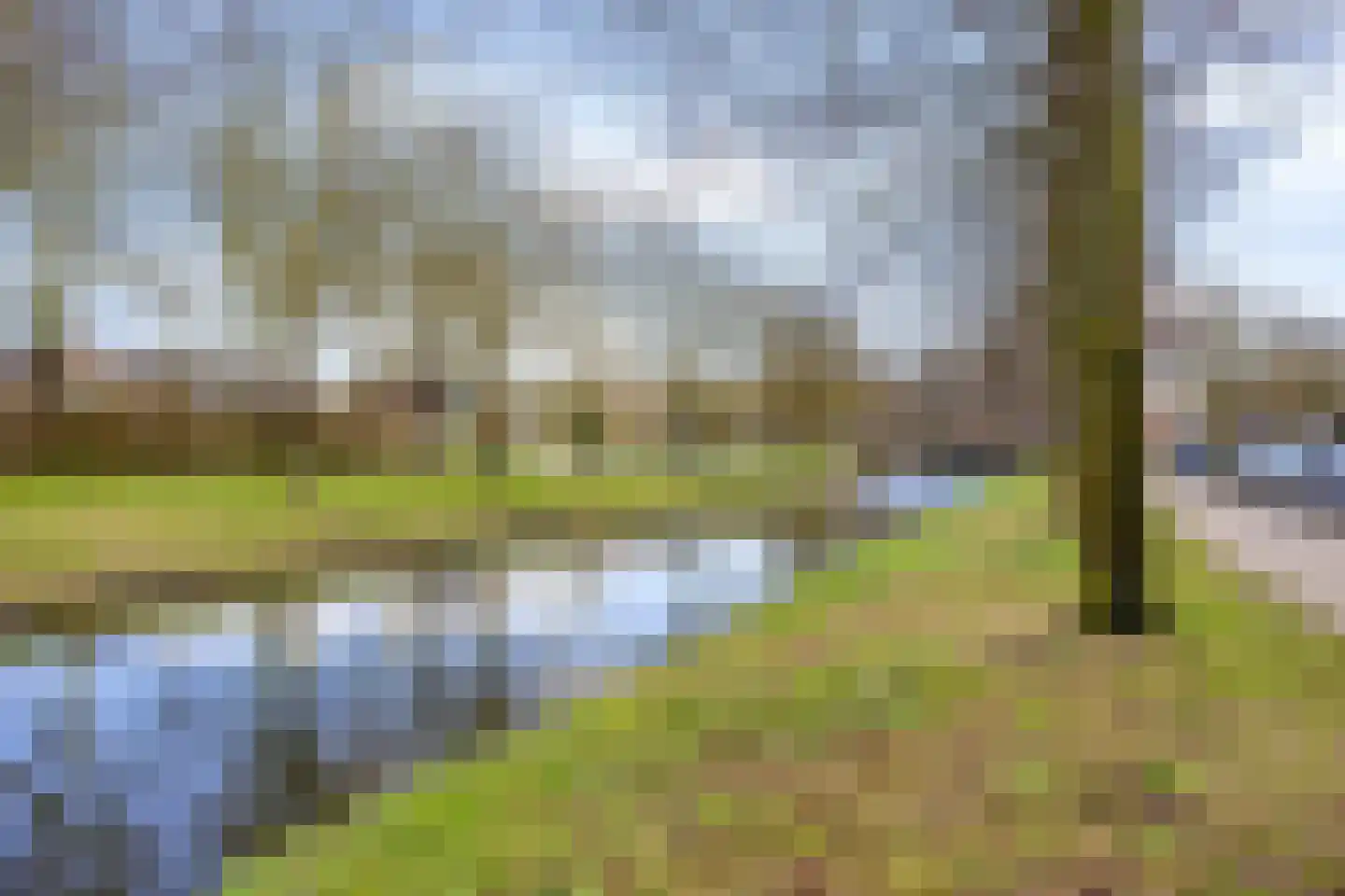 Nachtegaal 56 Hoorn thumbnail 36