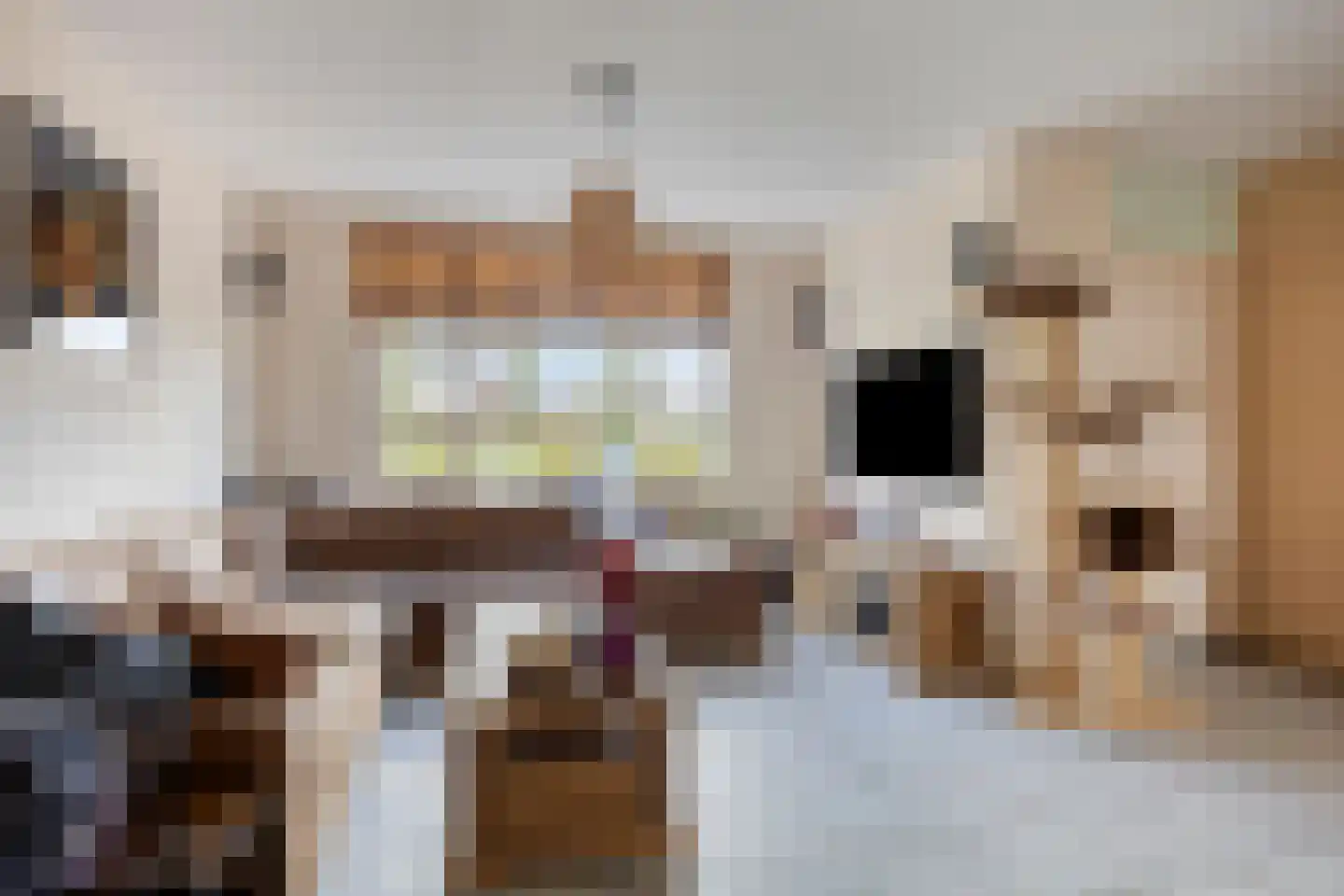 Nachtegaal 56 Hoorn thumbnail 5