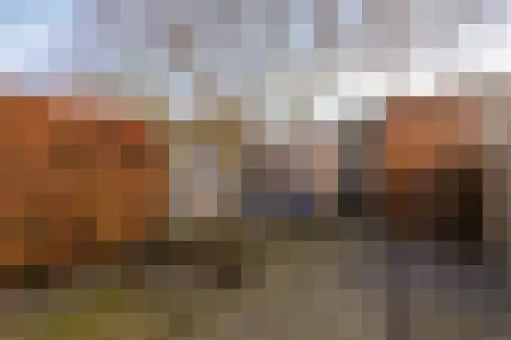 Nachtegaal 58 Etten-Leur thumbnail 33
