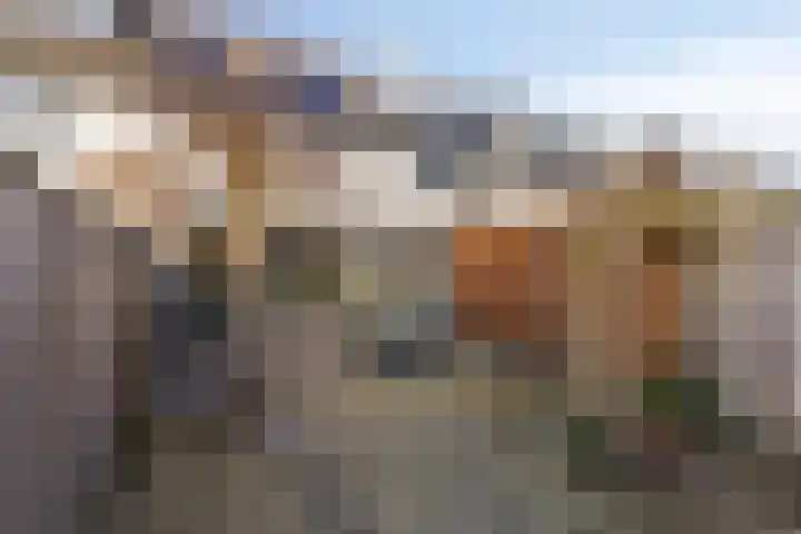 Nachtegaal 58 Etten-Leur thumbnail 35
