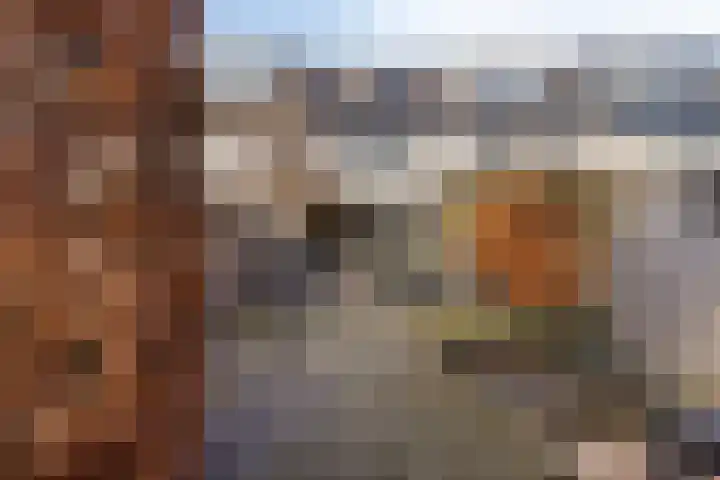 Nachtegaal 58 Etten-Leur thumbnail 36