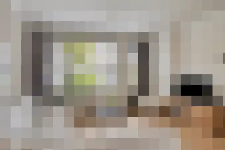 Nachtegaal 6 Sint-Oedenrode thumbnail 10