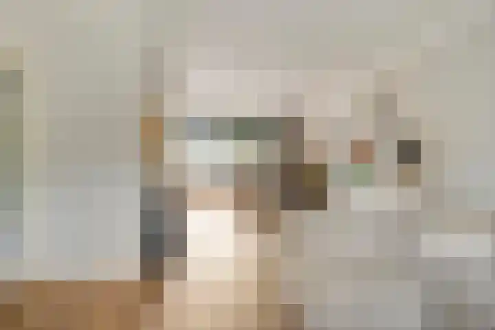 Nachtegaal 6 Sint-Oedenrode thumbnail 11