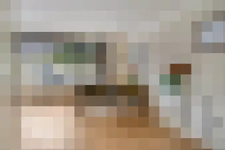 Nachtegaal 6 Sint-Oedenrode thumbnail 12