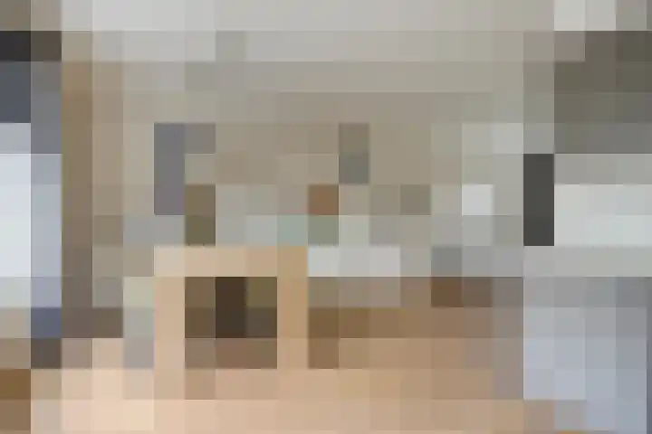 Nachtegaal 6 Sint-Oedenrode thumbnail 15