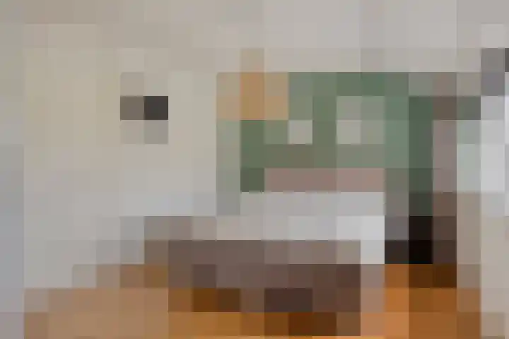 Nachtegaal 6 Sint-Oedenrode thumbnail 19