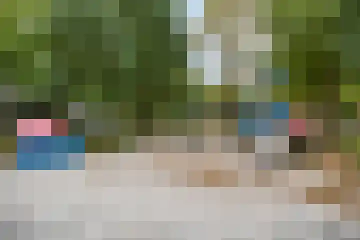 Nachtegaal 6 Sint-Oedenrode thumbnail 32