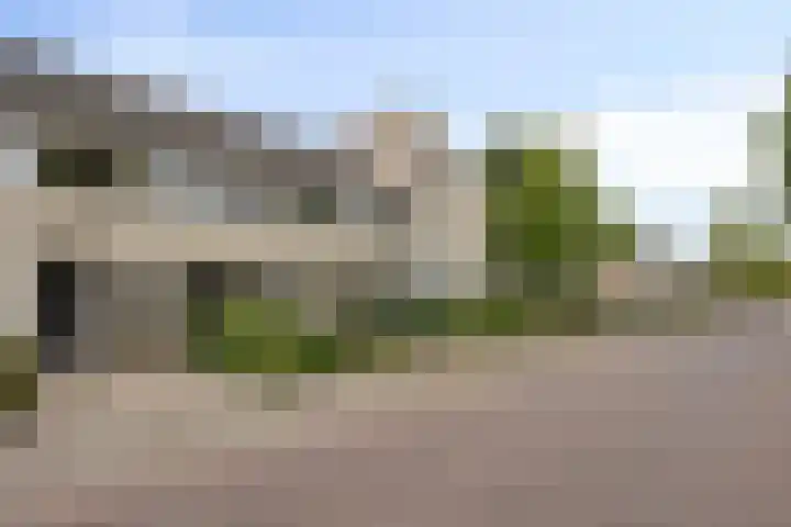 Nachtegaal 6 Sint-Oedenrode thumbnail 6