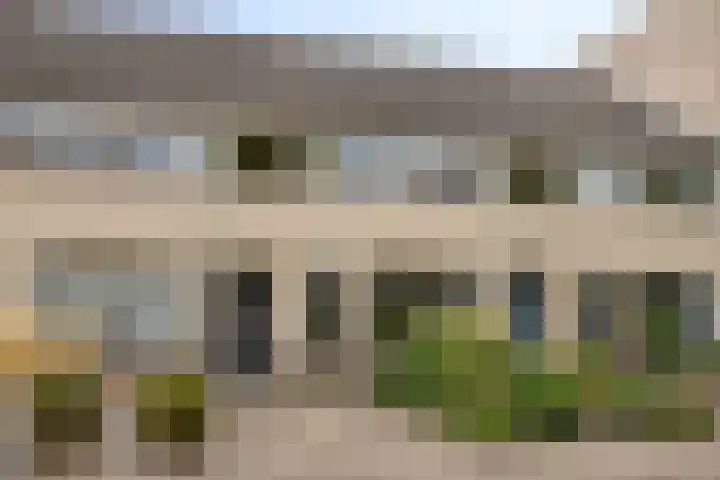 Nachtegaal 6 Sint-Oedenrode thumbnail 7