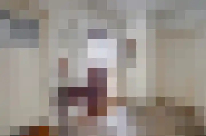 Nachtegaal 6 Wijk bij Duurstede thumbnail 13