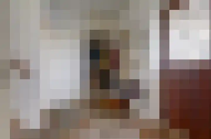 Nachtegaal 6 Wijk bij Duurstede thumbnail 14