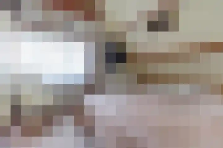 Nachtegaal 6 Wijk bij Duurstede thumbnail 16