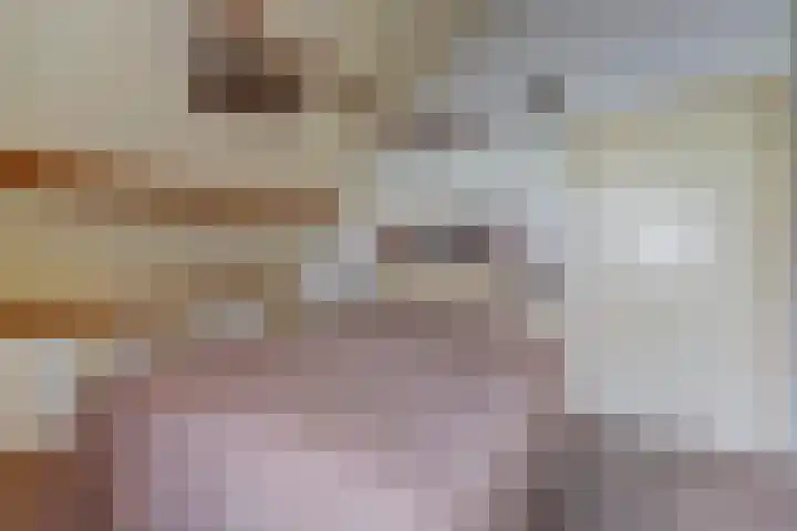 Nachtegaal 6 Wijk bij Duurstede thumbnail 17