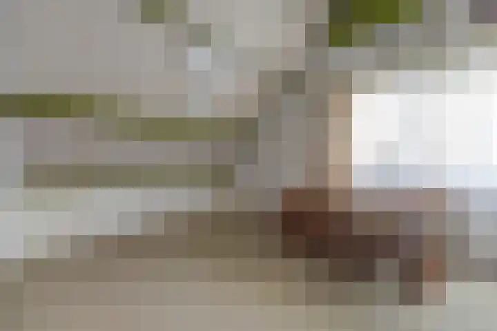 Nachtegaal 6 Wijk bij Duurstede thumbnail 18