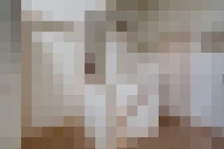 Nachtegaal 6 Wijk bij Duurstede thumbnail 25