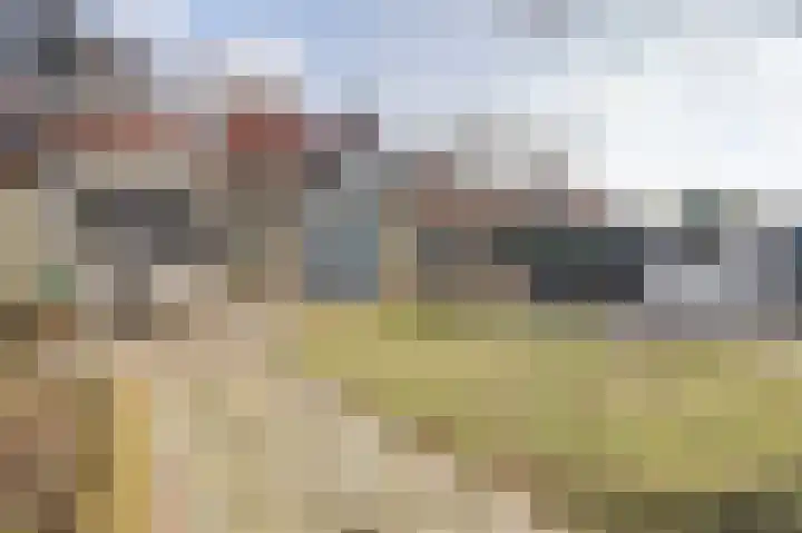 Nachtegaal 6 Wijk bij Duurstede thumbnail 27