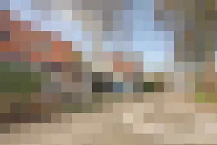 Nachtegaal 6 Wijk bij Duurstede thumbnail 32
