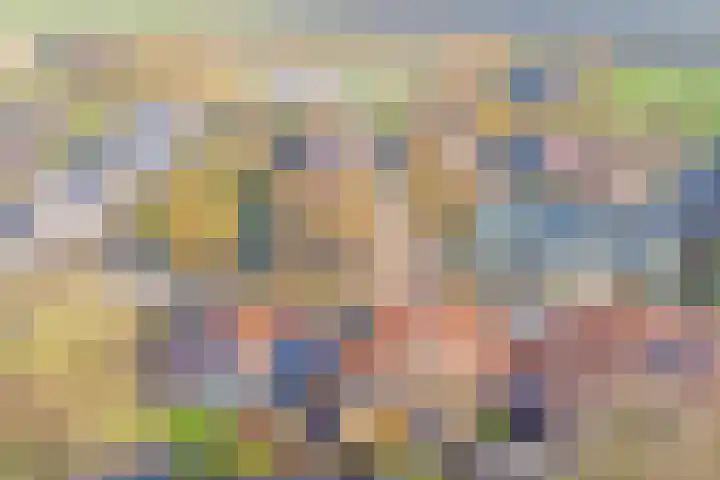 Nachtegaal 6 Wijk bij Duurstede thumbnail 37
