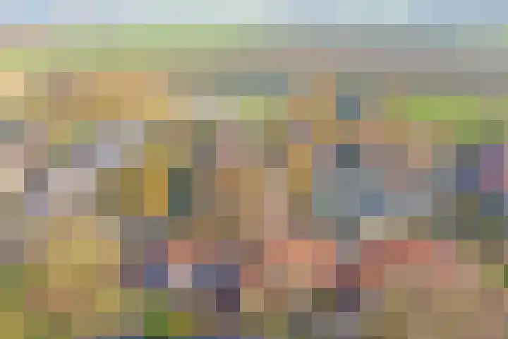 Nachtegaal 6 Wijk bij Duurstede thumbnail 38