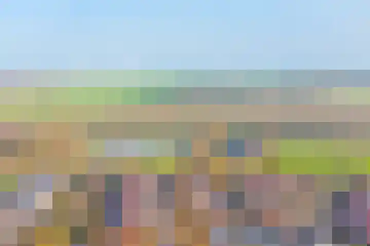 Nachtegaal 6 Wijk bij Duurstede thumbnail 39