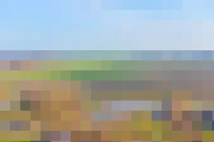 Nachtegaal 6 Wijk bij Duurstede thumbnail 40