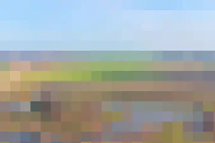 Nachtegaal 6 Wijk bij Duurstede thumbnail 41