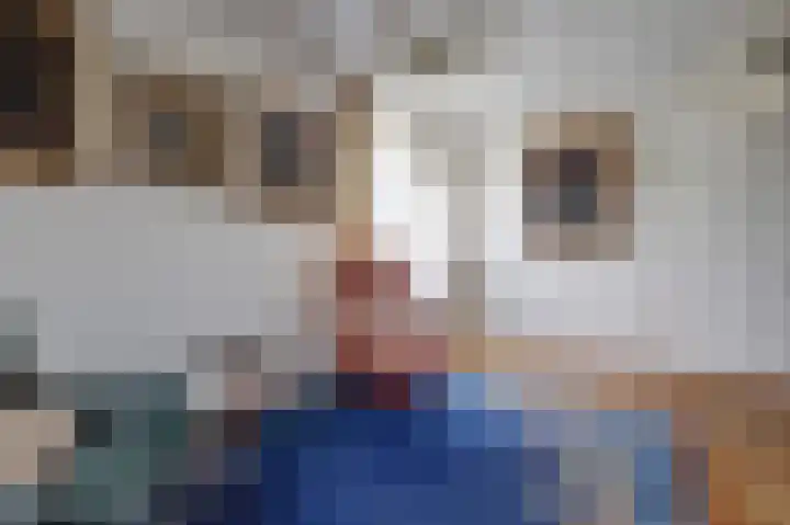 Nachtegaal 6 Wijk bij Duurstede thumbnail 6