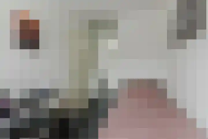 Nachtegaal 60 Etten-Leur thumbnail 20