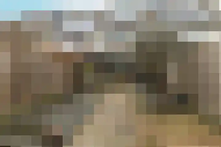 Nachtegaal 60 Etten-Leur thumbnail 31