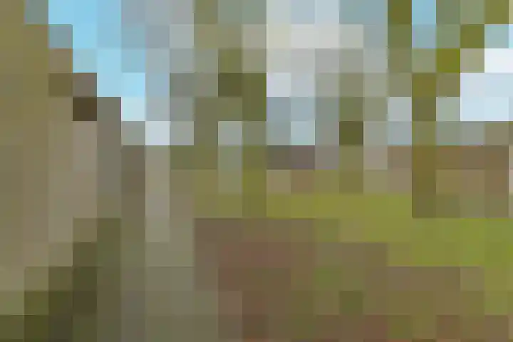 Nachtegaal 60 Etten-Leur thumbnail 32