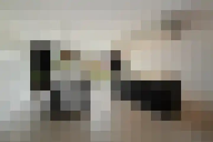 Nachtegaal 60 IJsselmuiden thumbnail 21