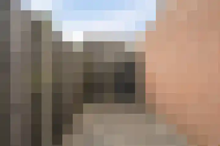 Nachtegaal 60 IJsselmuiden thumbnail 33