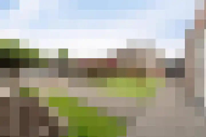 Nachtegaal 60 IJsselmuiden thumbnail 35