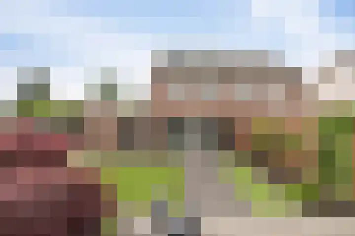 Nachtegaal 60 IJsselmuiden thumbnail 37