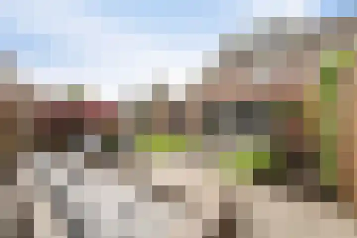 Nachtegaal 60 IJsselmuiden thumbnail 4