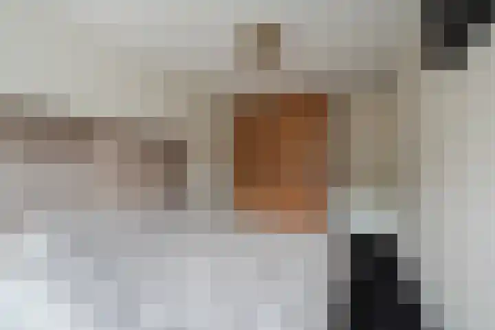 Nachtegaal 60 IJsselmuiden thumbnail 45