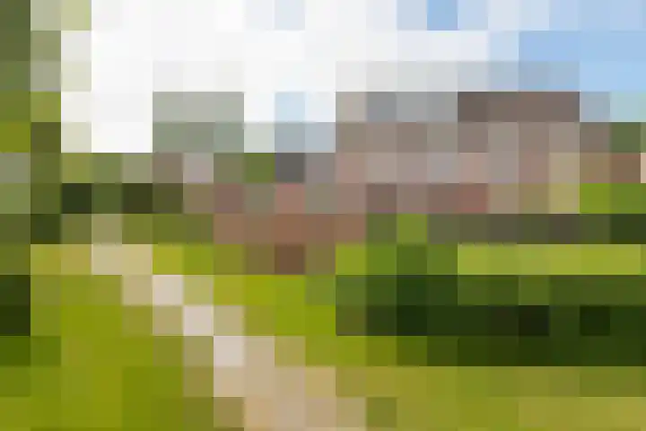 Nachtegaal 60 IJsselmuiden thumbnail 5