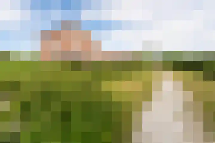 Nachtegaal 60 IJsselmuiden thumbnail 6