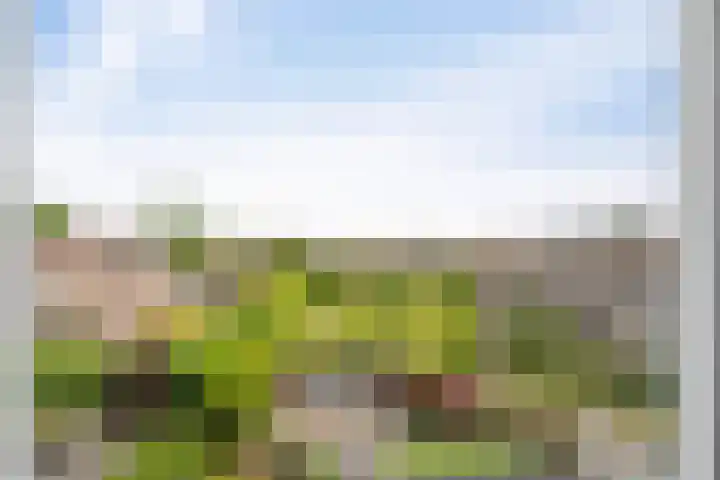 Nachtegaal 60 IJsselmuiden thumbnail 64