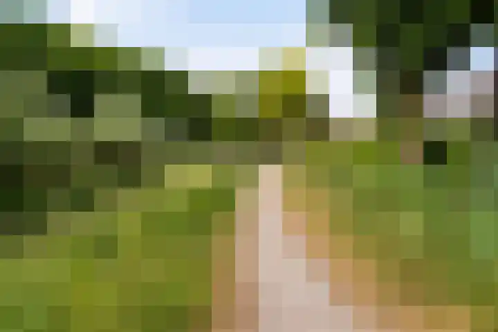 Nachtegaal 60 IJsselmuiden thumbnail 65