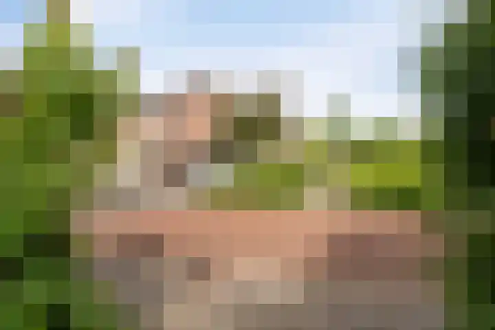 Nachtegaal 60 IJsselmuiden thumbnail 66
