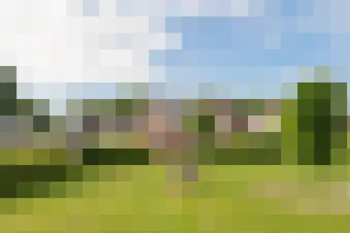 Nachtegaal 60 IJsselmuiden thumbnail 7