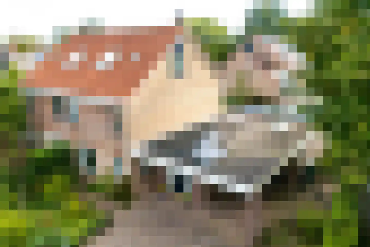Nachtegaal 71 Wijk bij Duurstede foto 3